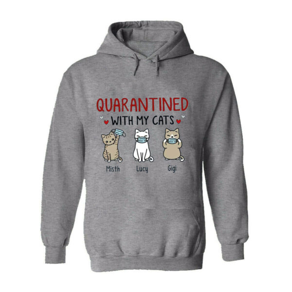 Quarantined With My Cats Pet Lover Men's Funny Hoodie